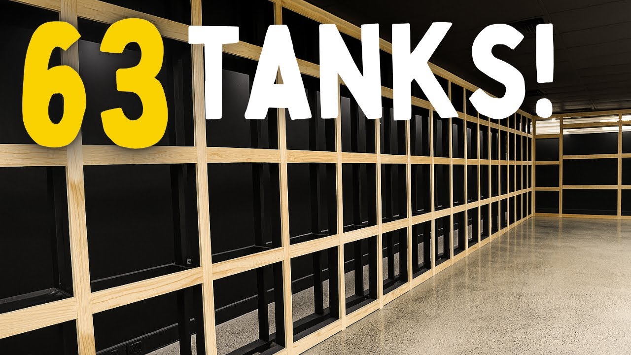 The First Wall Rises! – Building Our Dream Aquarium Store