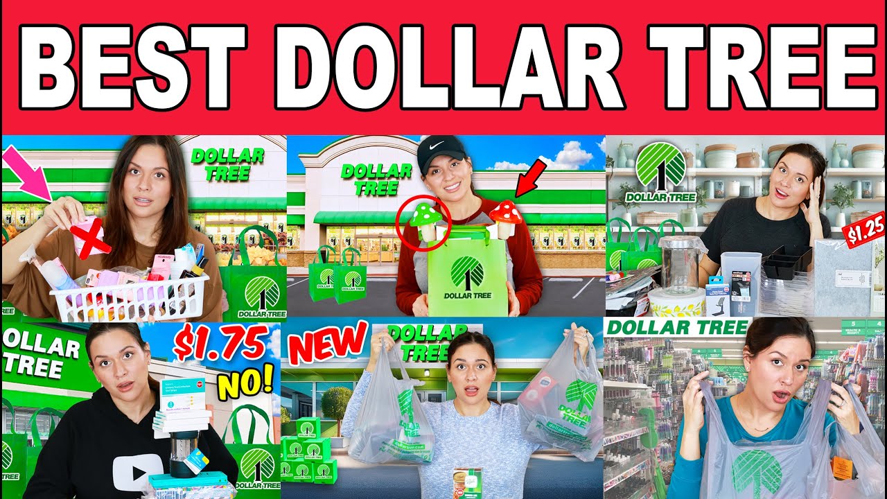 Only The Best Dollar Tree Products I Have Tried and YOU Should Buy 2025!