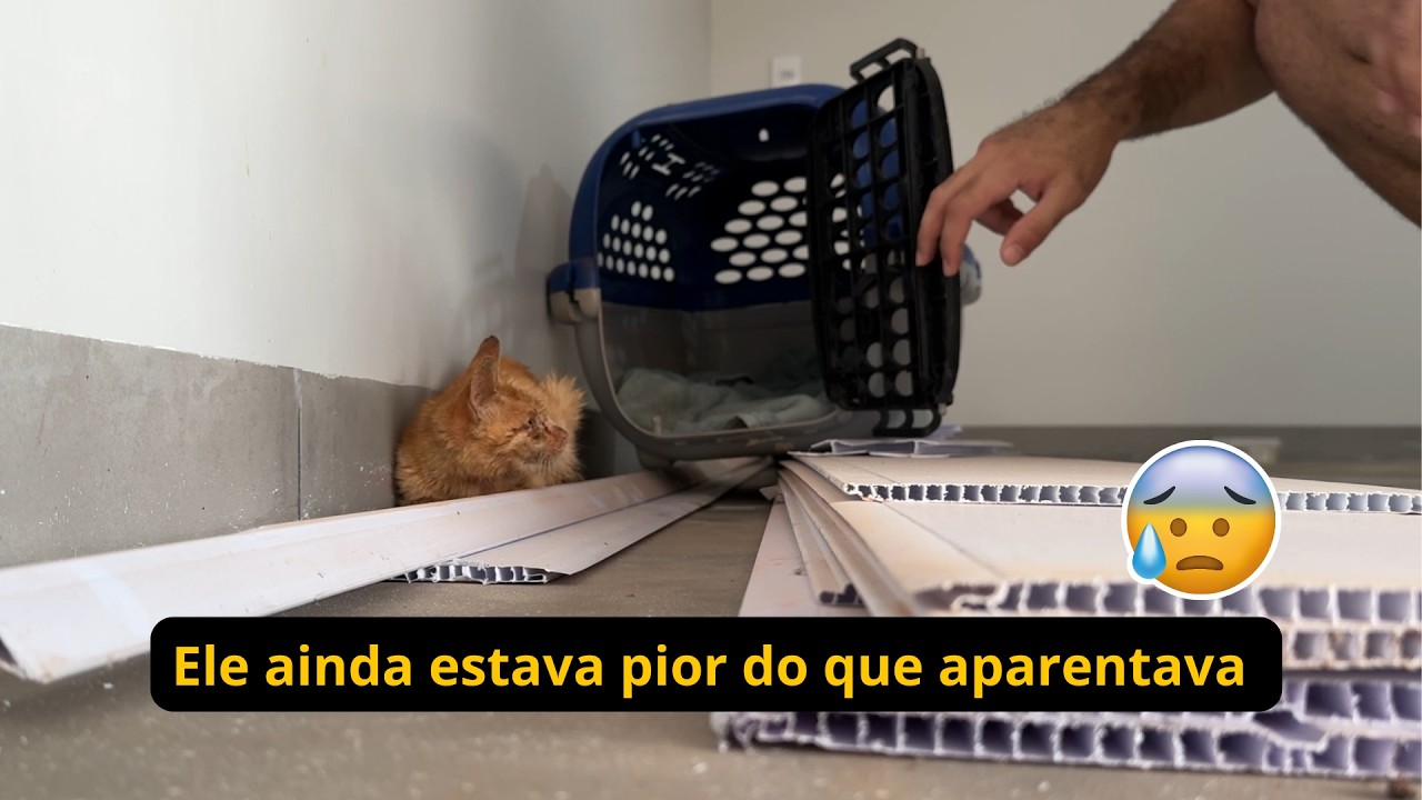 Uma surpresa antes da mudança 😰 (PARTE 2)