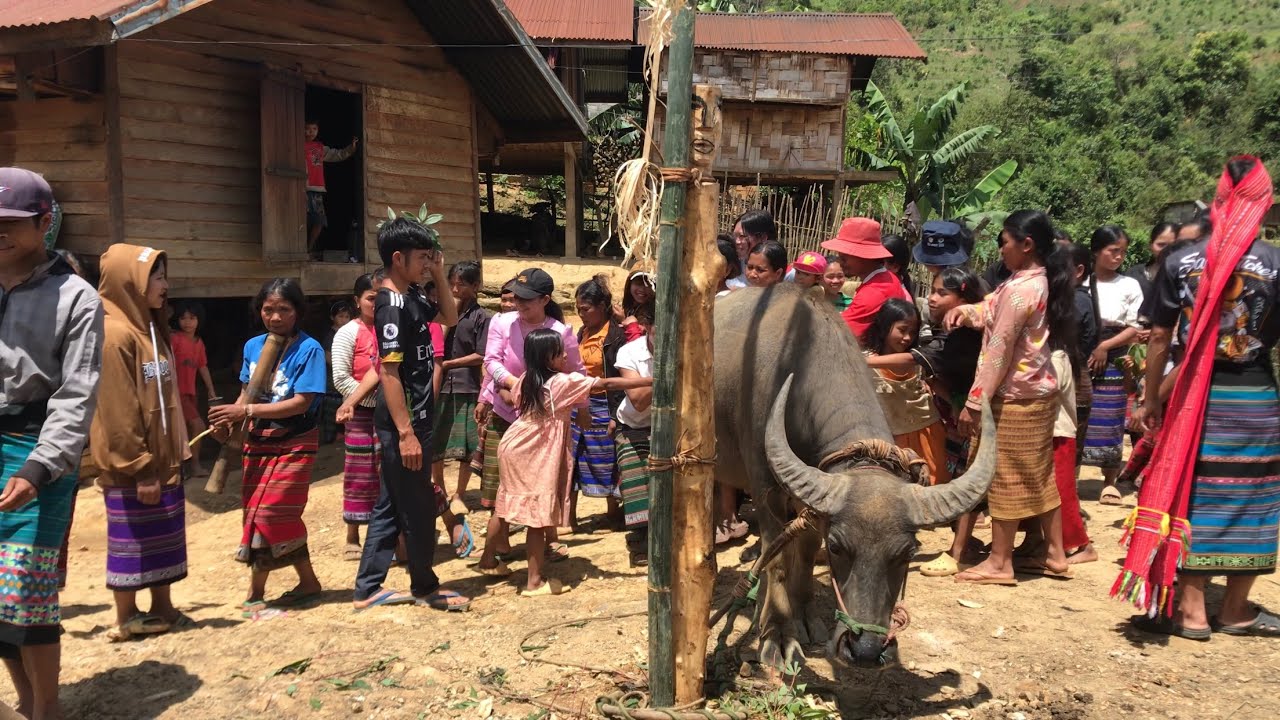 ❌ห้ามแขกเข้ามาในหมู่บ้าน⁉️ งานบุญยิ่งใหญ่ของหมู่บ้าน ที่ไม่มีแขกเข้ามาร่วม