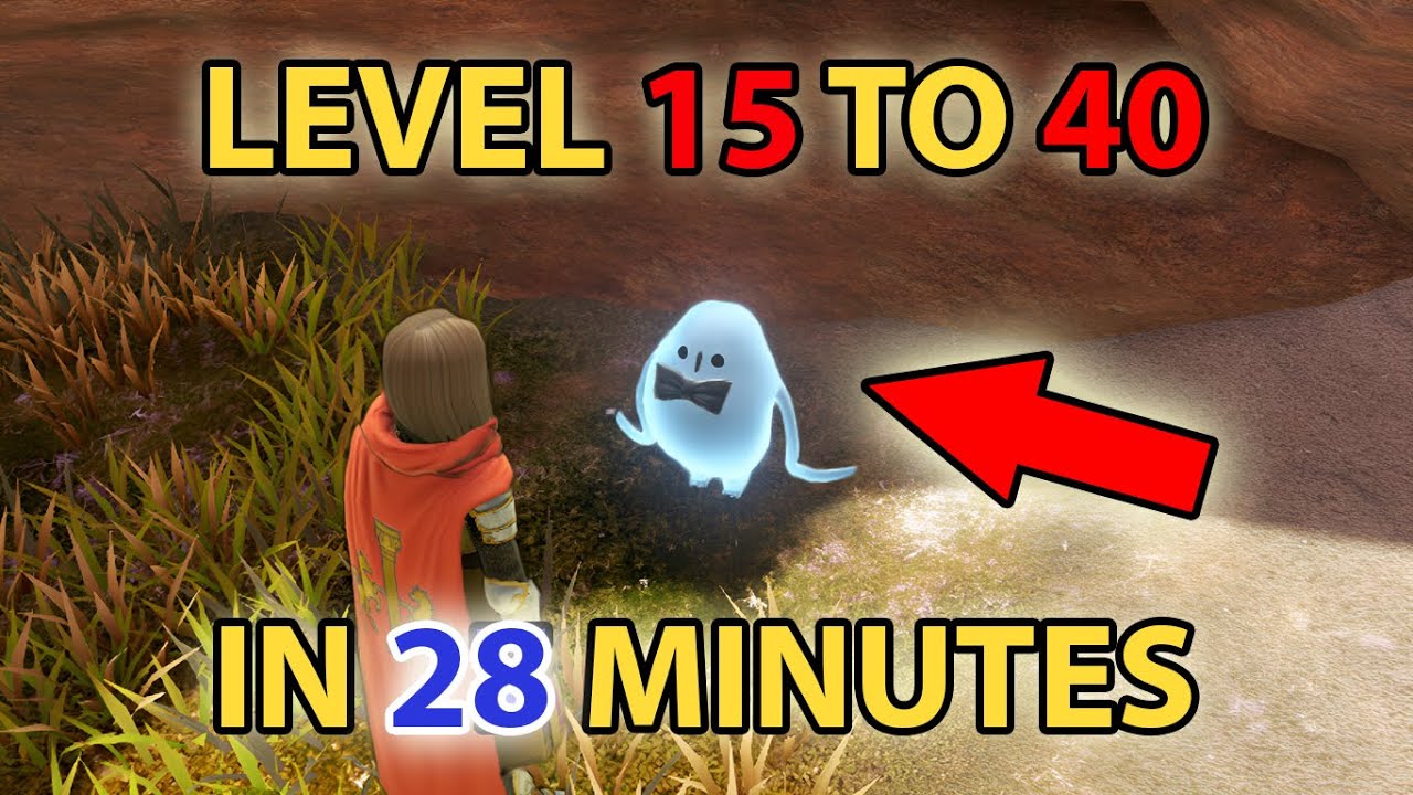 [DQ11S] Early Game Efficient EXP Farming