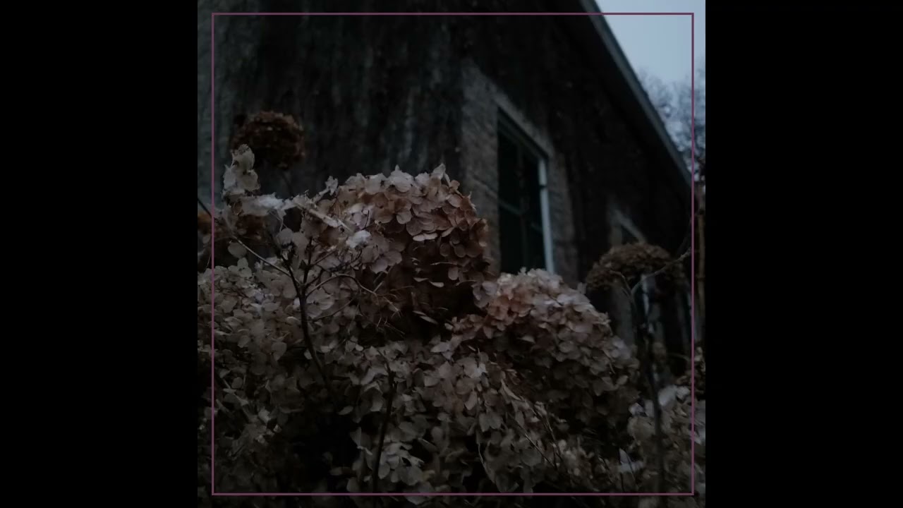 Peace Through Decay - The Wilting Bloom