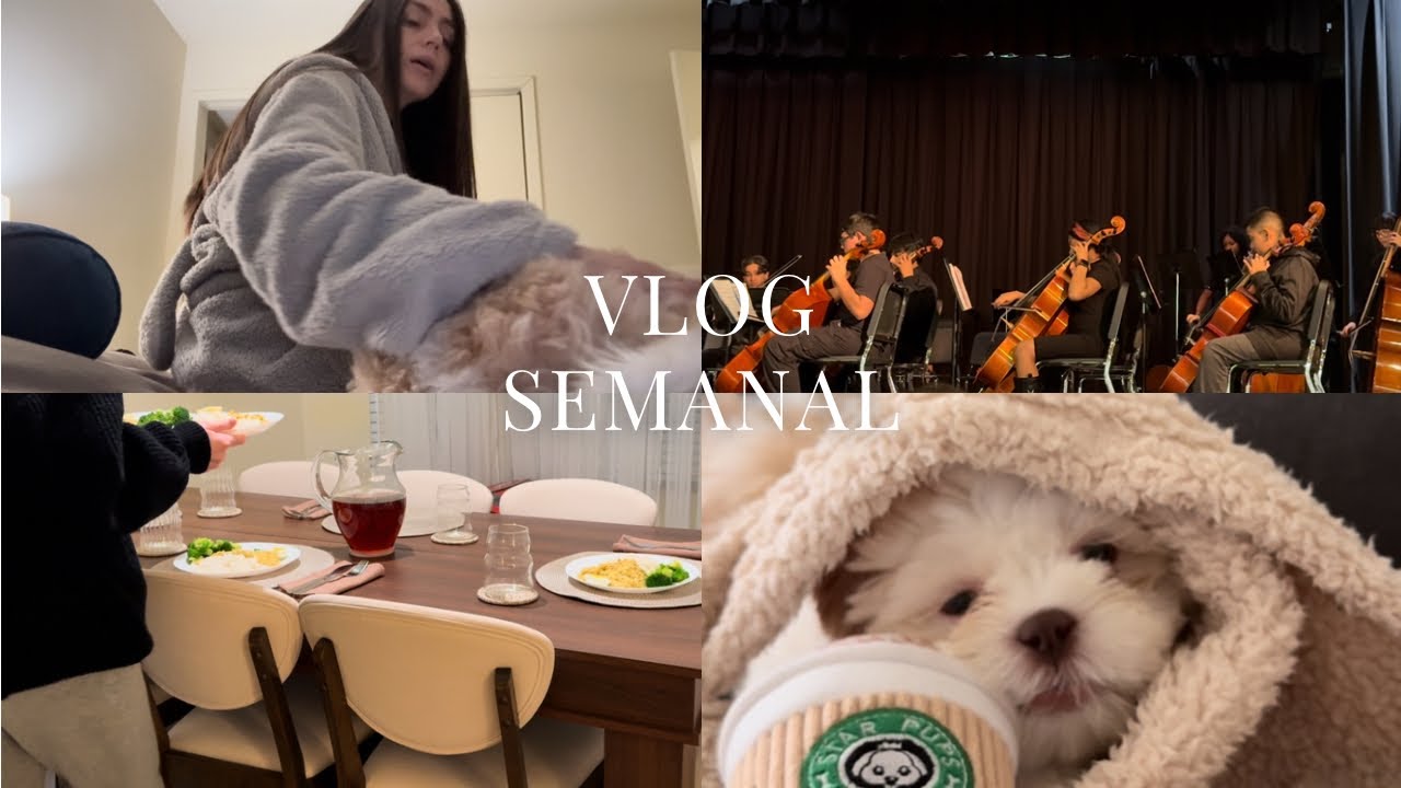 Bañe  a mi perrito, concierto de mi bebe y organizacion