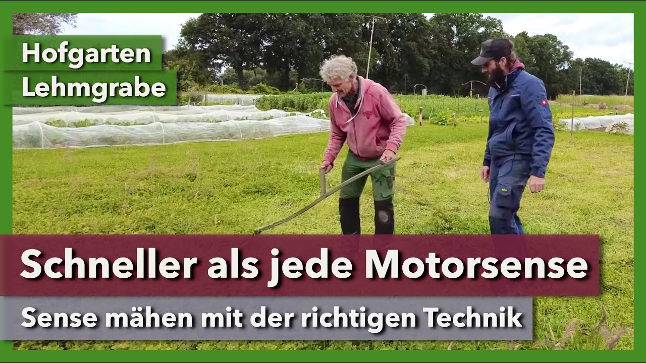 Mähen mit der Sense - Schneller als mit der Motorsense | Hofgarten Lehmgrabe | 2024 | Teil 4