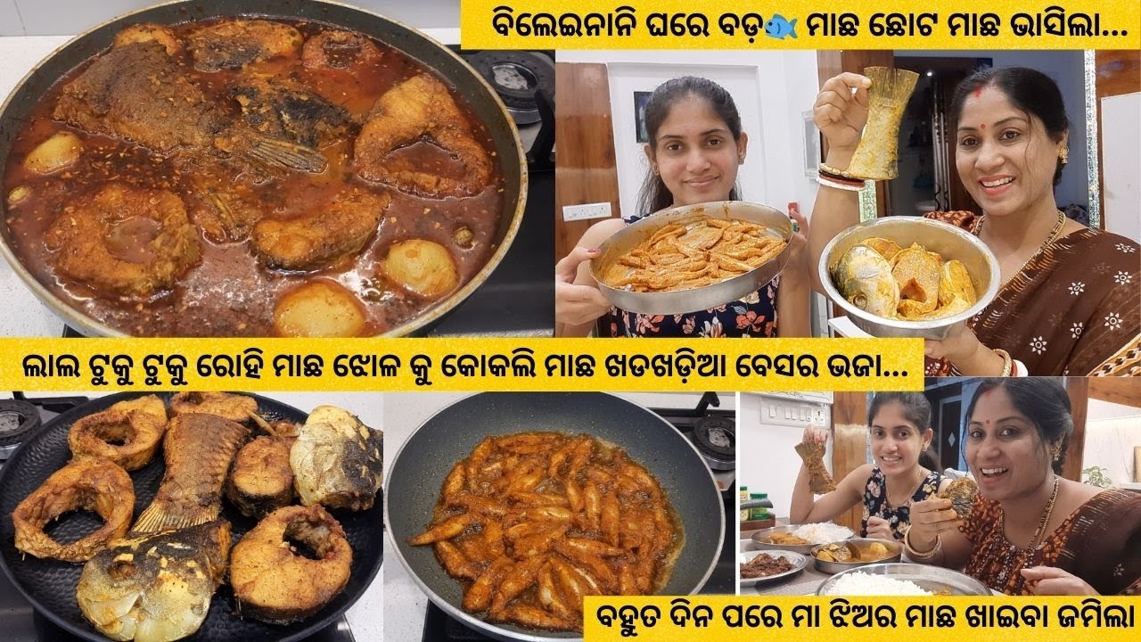 ଲାଲ ଟୁକୁ ଟୁକୁ ରୋହି ମାଛ ଝୋଳ କୁ କୋକଲି ମାଛ ଭଜା ମା ଝିଅର ଆଜି ପାଳି ପଡିଛି/ବିଲେଇନାନି ଘରେ ବଡ଼🐟ଛୋଟ ମାଛ ଭାସିଲା