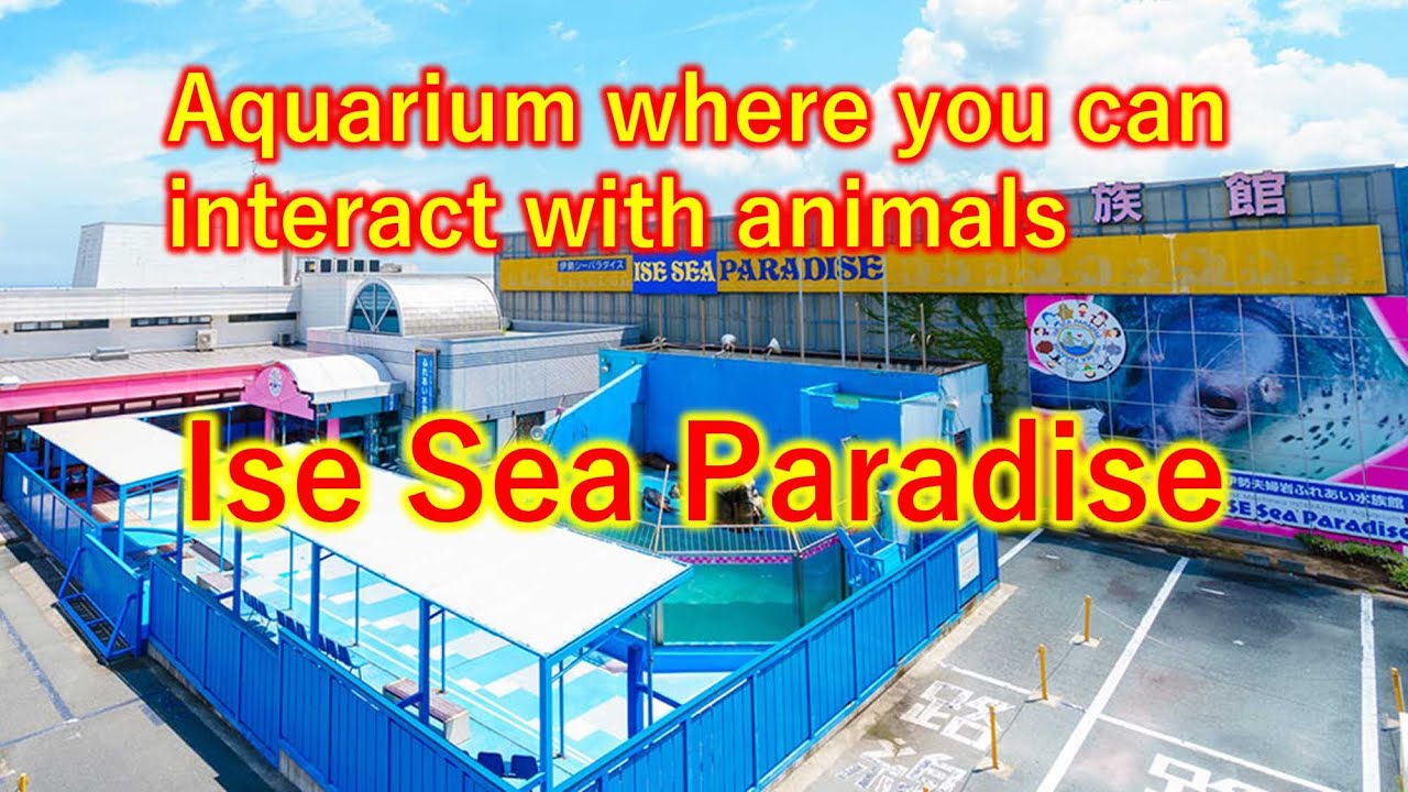 Interact with animals, Ise Sea Paradise and Couple Rock in Japan