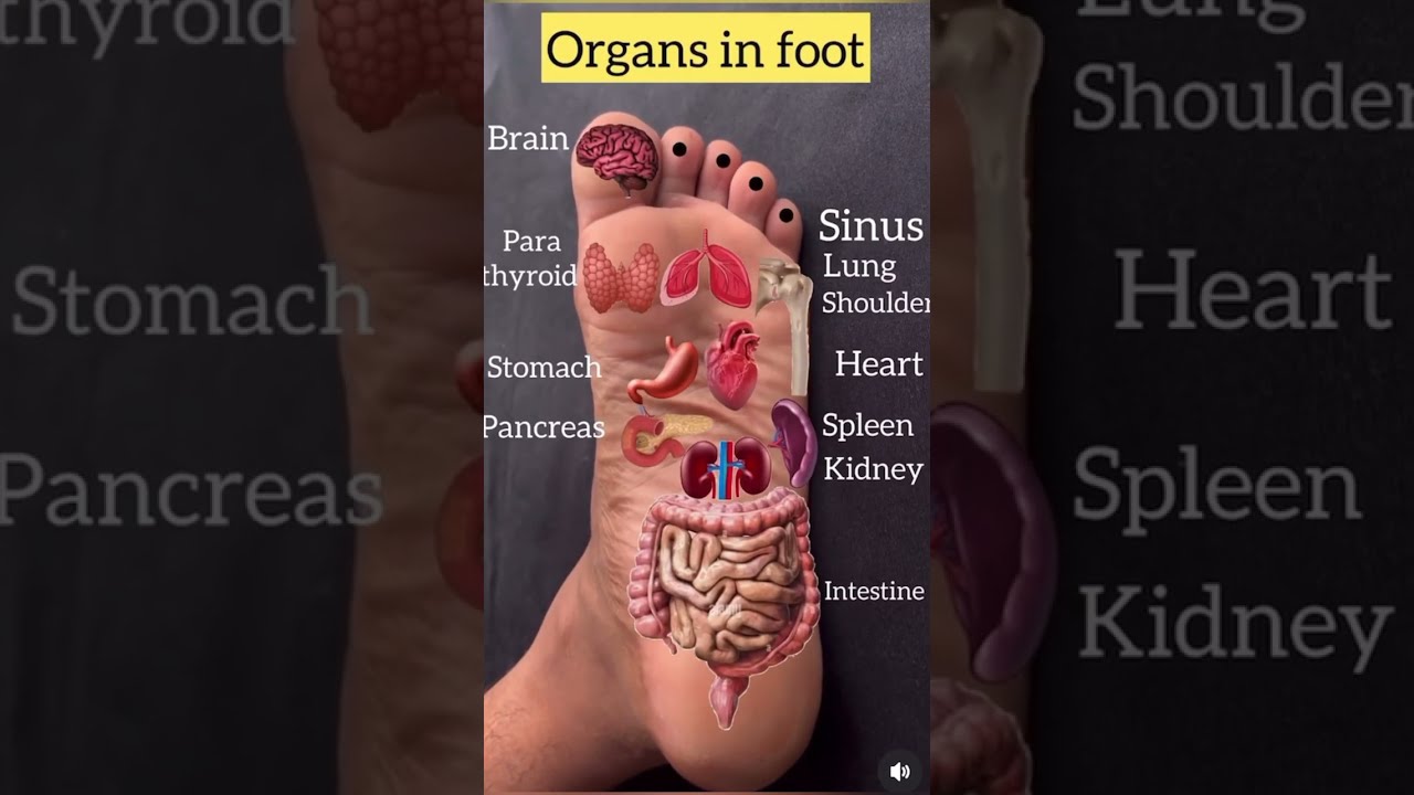 What is Foot Reflexology - Foot Massage And Benefits - How to do Foot Reflexology Step By Step