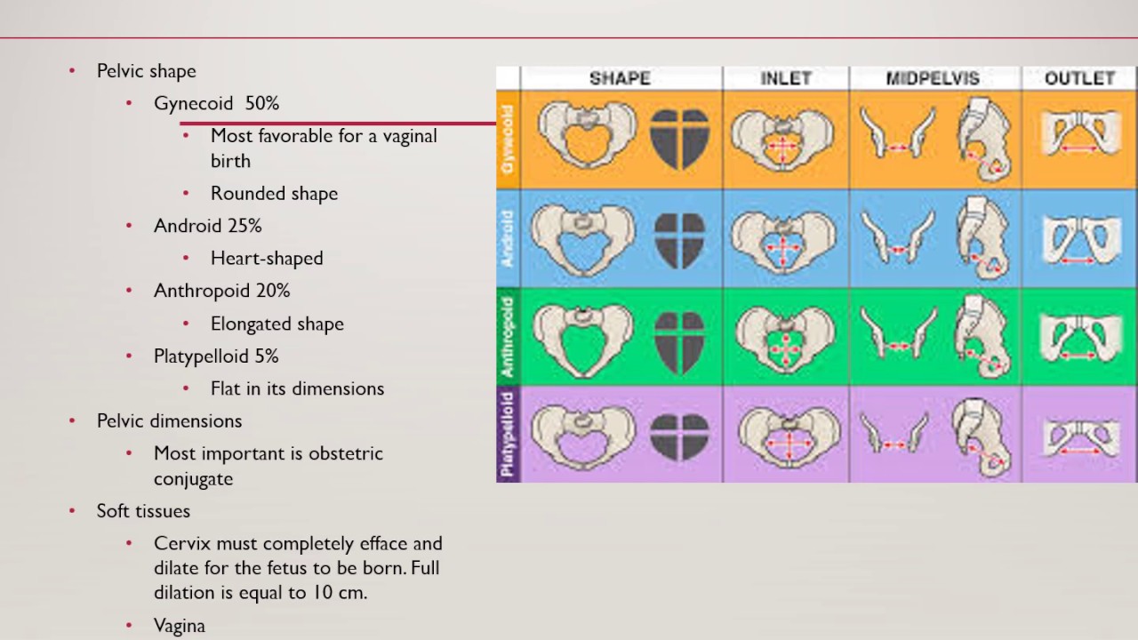 Labor Care - Nursing Lecture