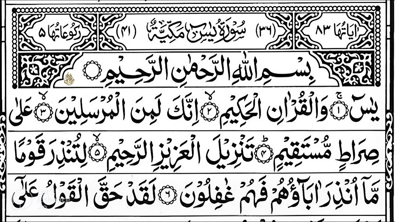 Surah Yaseen Surah Ar Rahman | Best Quran Recitation | Surah Yasin Tilawat | Episode_002