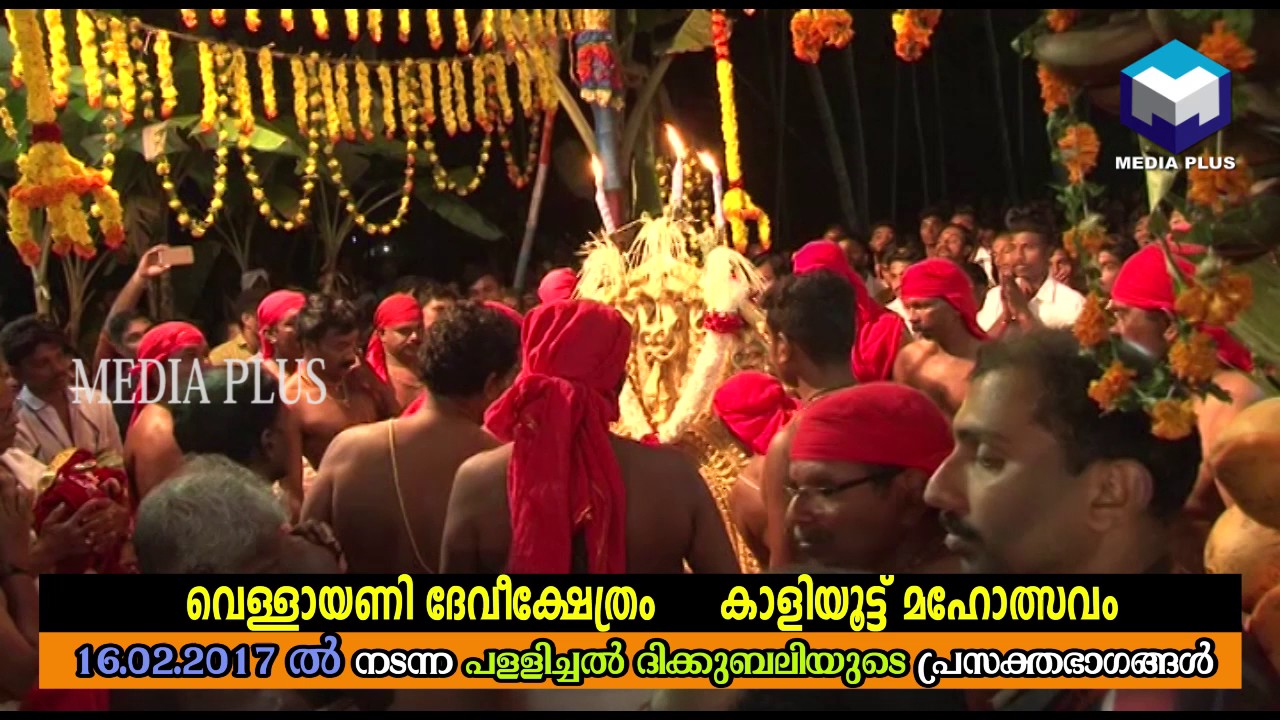 vellayani temple 16 02 17 pallichal dhikkubali  vellayani kaaliyoott mahothsavam