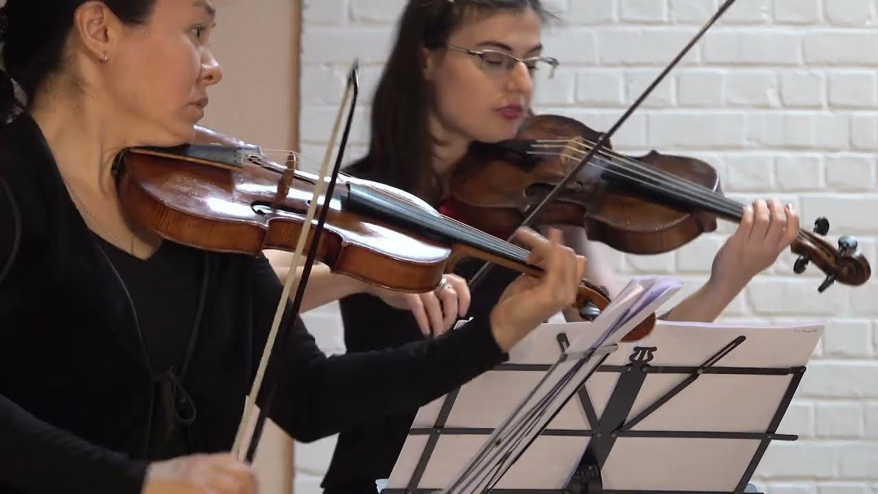 Antonio Vivaldi - Concerto for strings g-moll RV 157 - Iris Ensemble