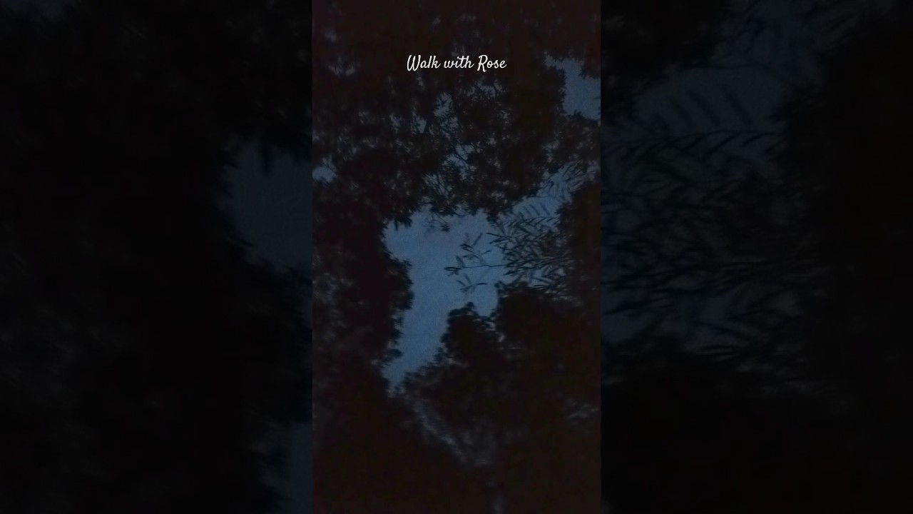 Nature Sound at Dusk #cicada