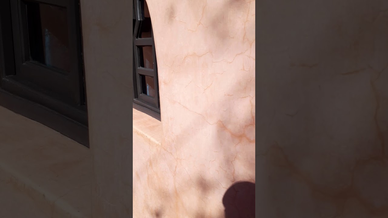 Riad le Perroquet Bleu #2