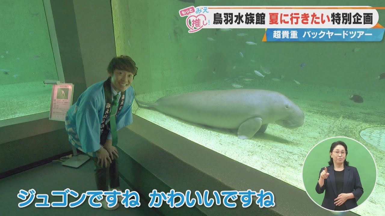鳥羽水族館 夏に行きたい特別企画 超貴重バックヤードツアー（2025/8/13 放送「よしお兄さんのもっとみえ推し！」より）