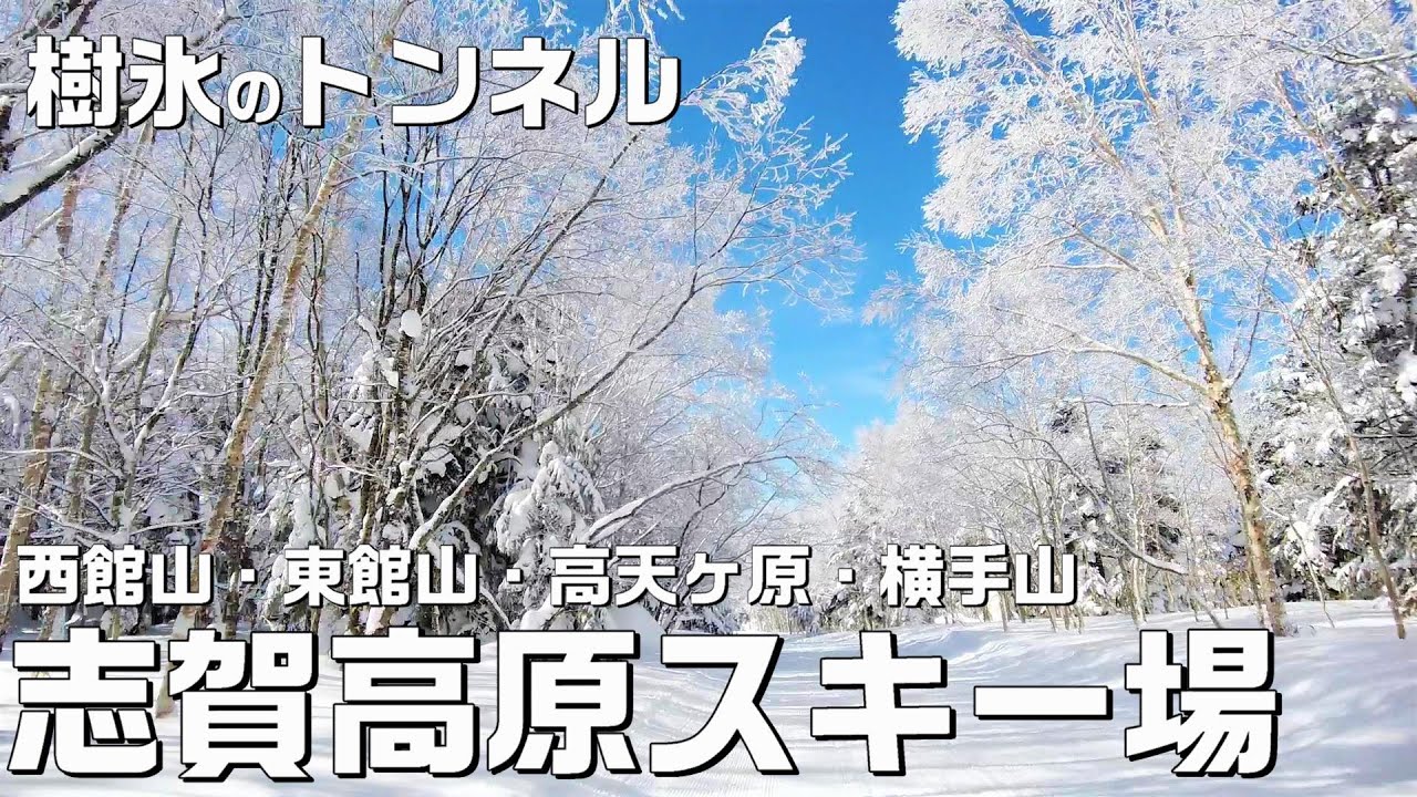 広くて周りきれない志賀高原スキー場😆西館山・東館山・発哺ブナ平・高天ヶ原マンモス・横手山 【長野移住／旬旅】