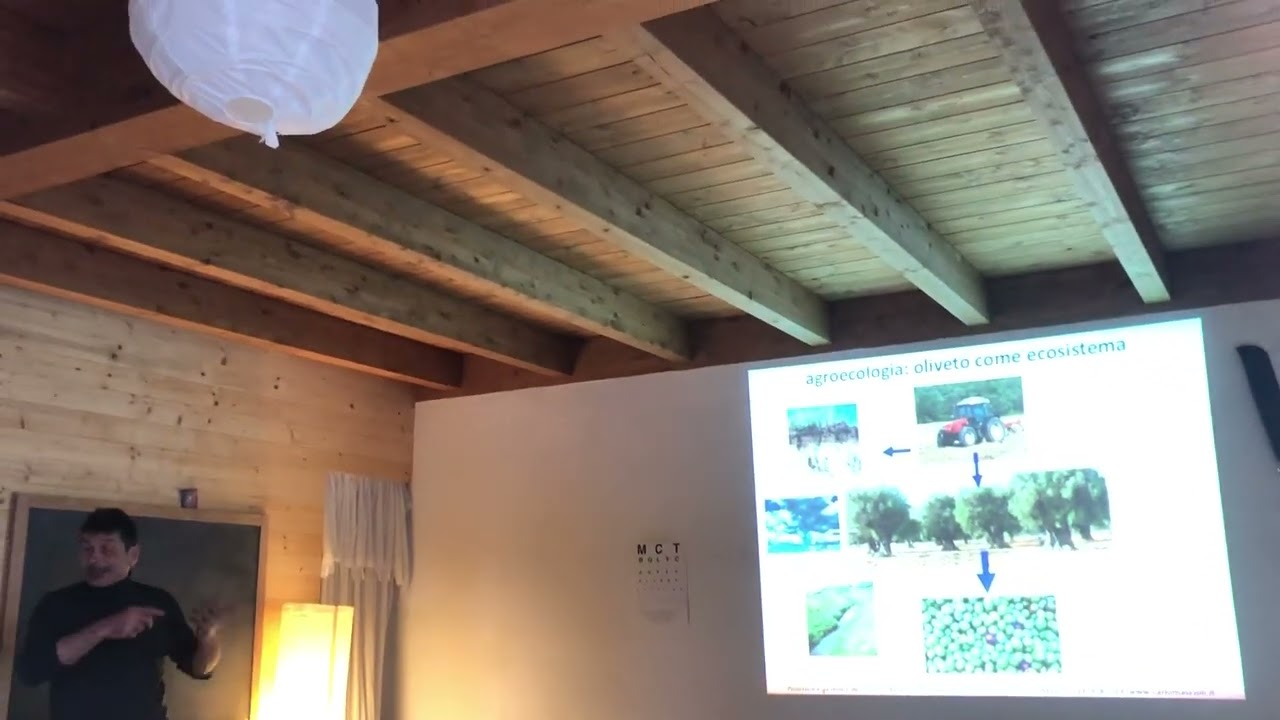Corso di Potatura Olivo: Approccio AGROECOLOGICO