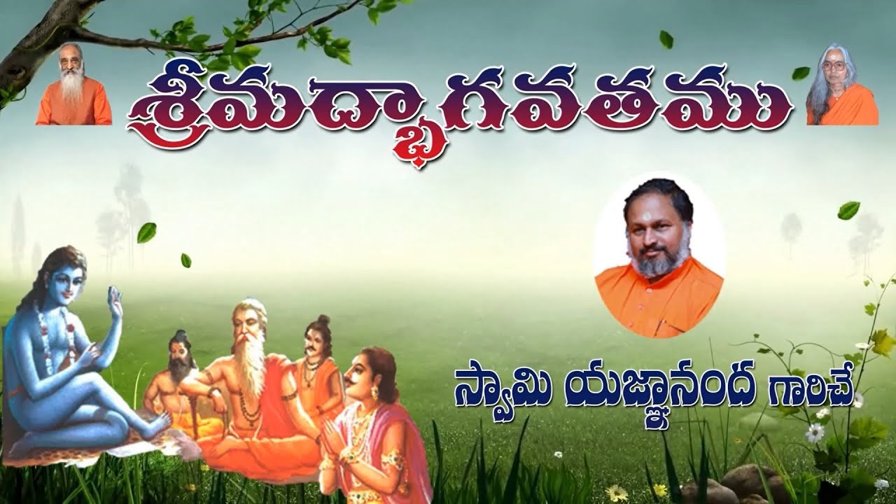 Bhagavatam Sk-11, Ch-8, Pravachanam - 266
