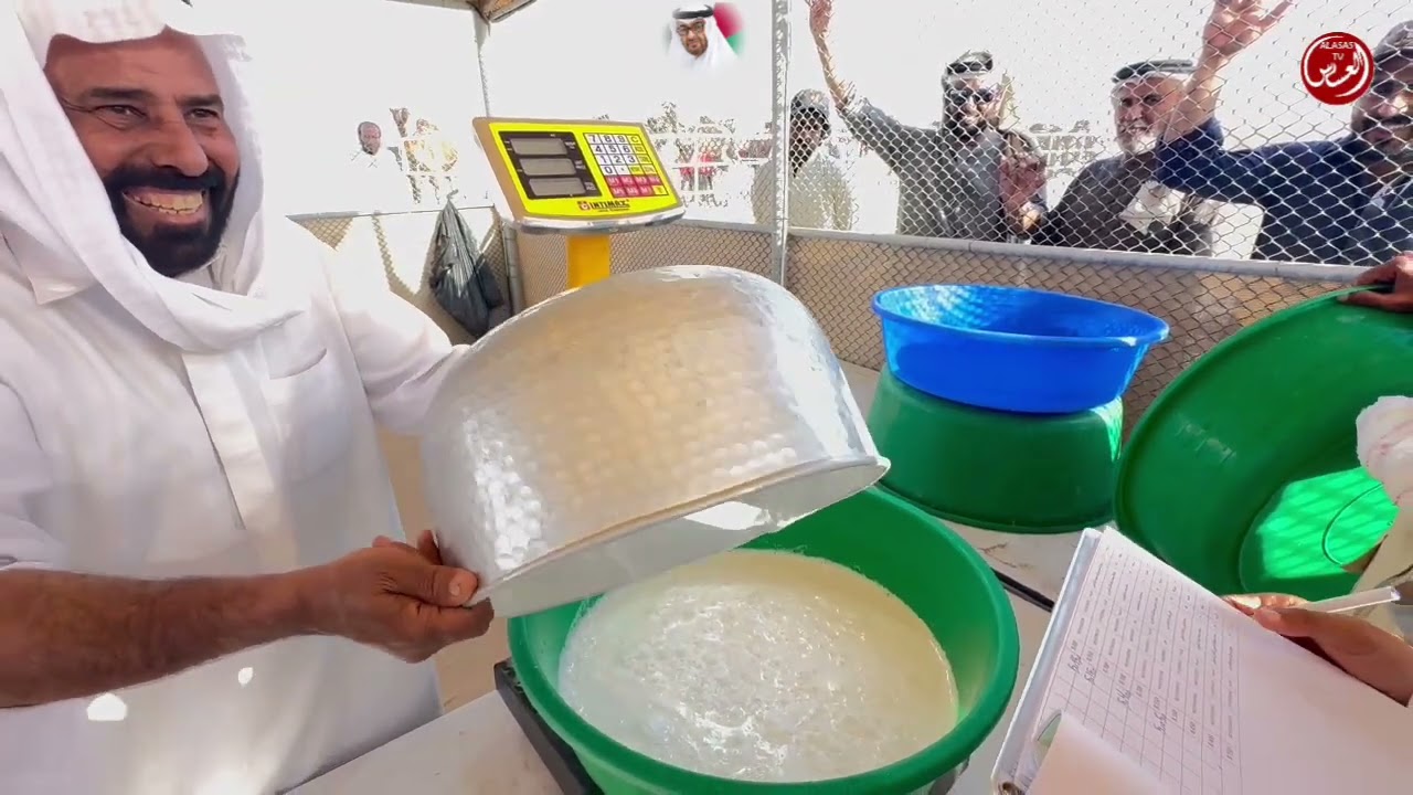 مهرجان الظفره مسابقة المحالب اشواط المجاهيم