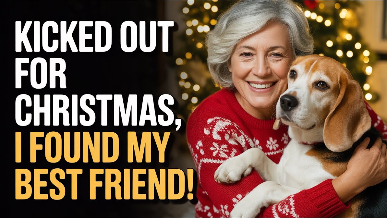 REVEALED: How Being Thrown Out of Christmas Dinner Led to an AMAZING Bond with a Stray Dog!