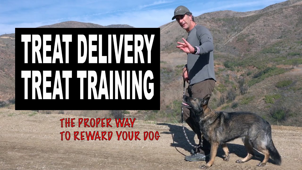 Treat Training Your Dog - How to Reward with Treats and not get BIT - Robert Cabral Dog Training