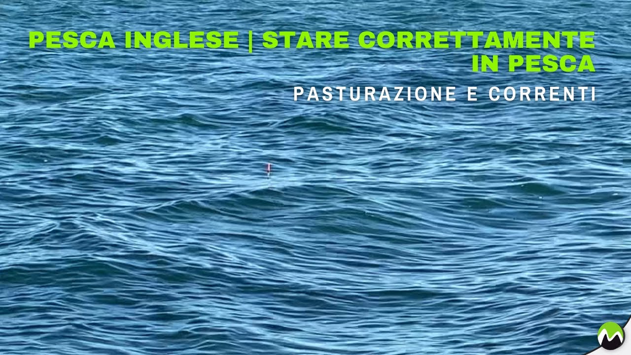 Pesca inglese | stare correttamente in pesca - correnti e pasturazione
