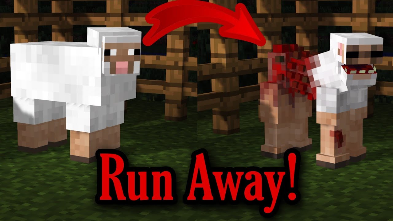 If your Sheep started killing the other Sheep, RUN AWAY! (Minecraft Creepypasta)
