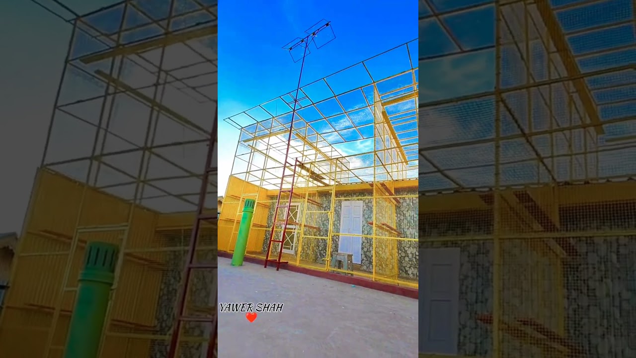 NEW LOFT FOR MY PIGEONS | PIGEONS KASHMIR