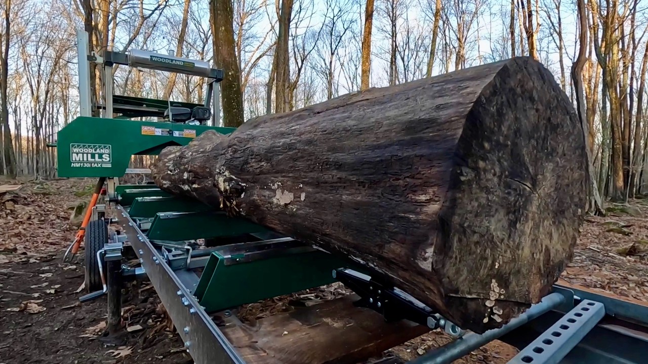 Cutting posts for timber framing on the Woodland Mills Sawmill