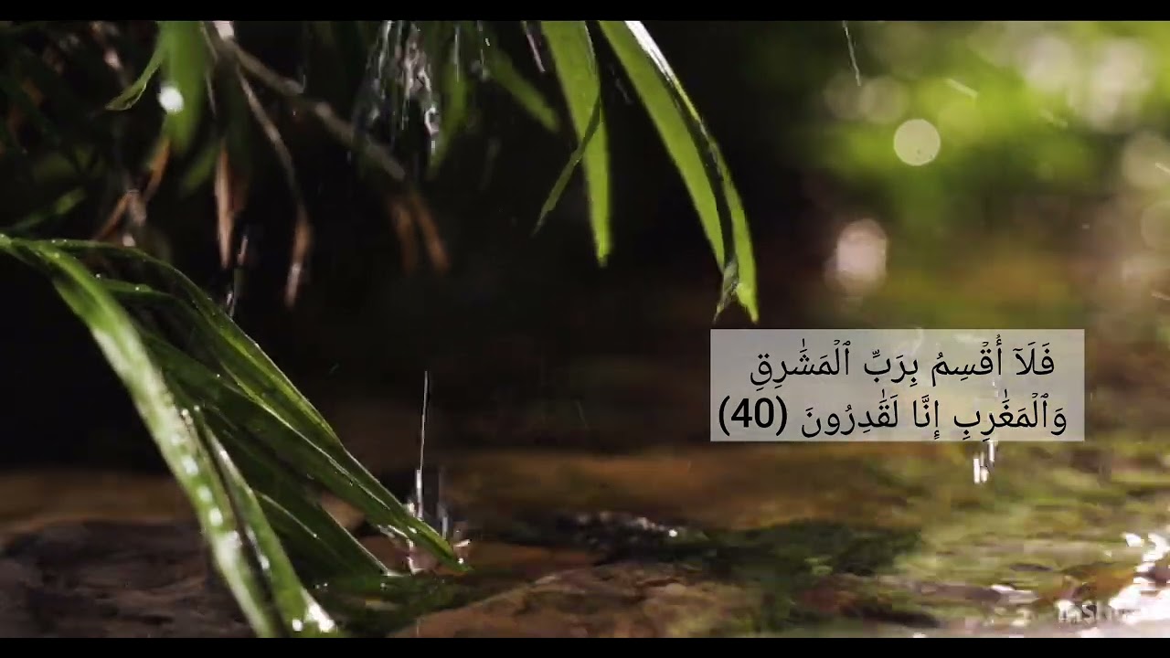سورة المعارج من ايه 36 الى ايه 41 مكرر 5 مرات الشيخ المنشاوي 