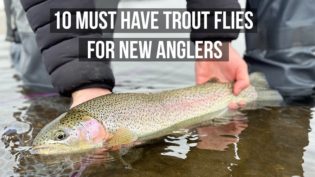 Essential Trout Flies for Beginning Anglers: Top 10 Picks