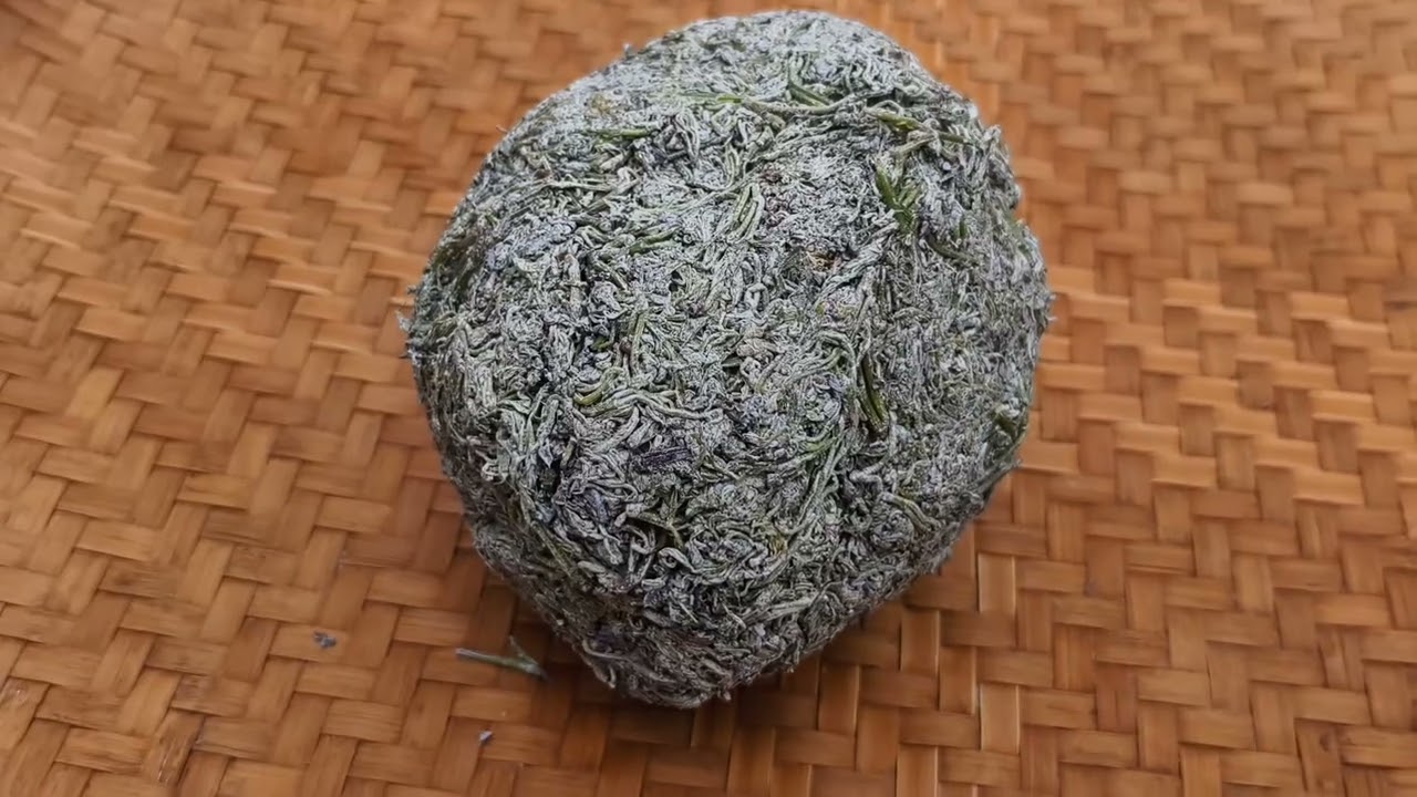 采回来的野生藤茶老罗开炒，品尝了今年第一杯头采茶，味道甘甜