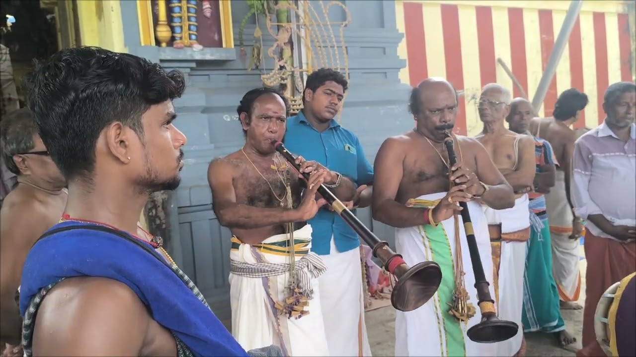 Theerthavari - Annan perumal utsavam - Anbalagan & Kannan Nadaswaram