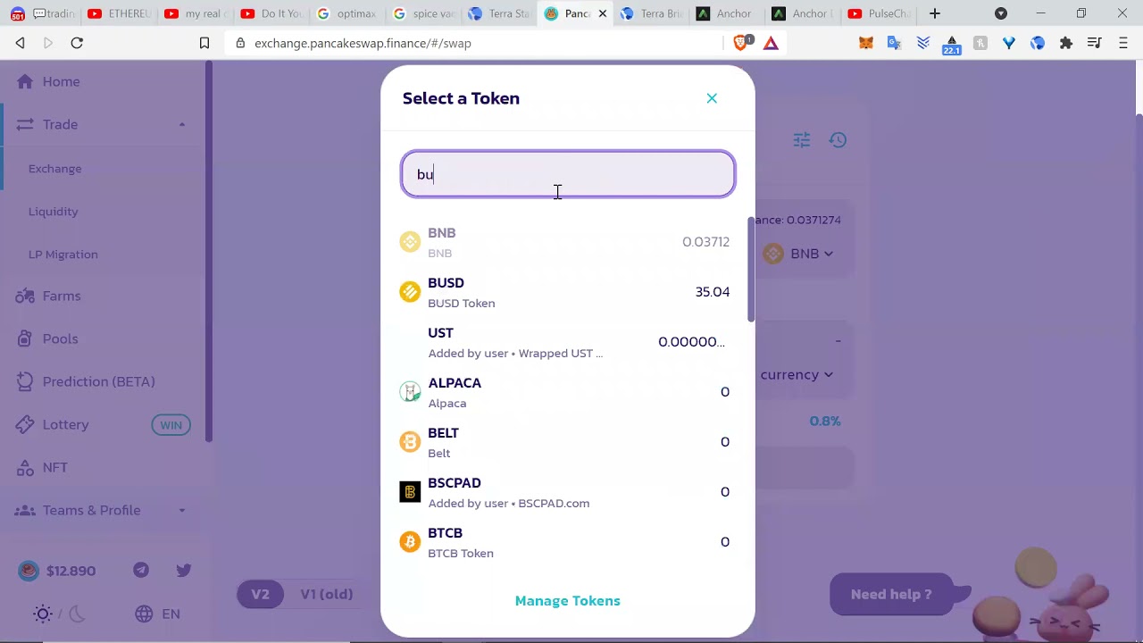 Easy, how to transfer from BSC to Luna wallet for good APY on anchor protocol! Enjoy~