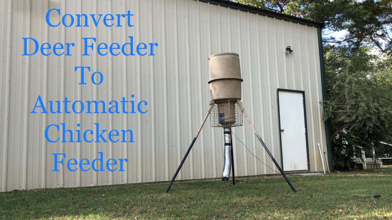 Homemade Automatic Chicken feeder with Timer. Affordable.