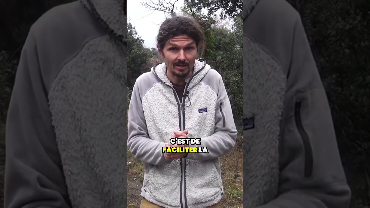Le je&ucirc;ne sec court pour les fatigu&eacute;s