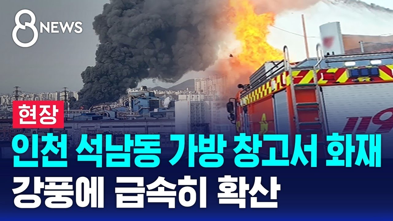 [현장] 인천 석남동 가방 창고서 화재…강풍에 급속히 확산 / SBS 8뉴스