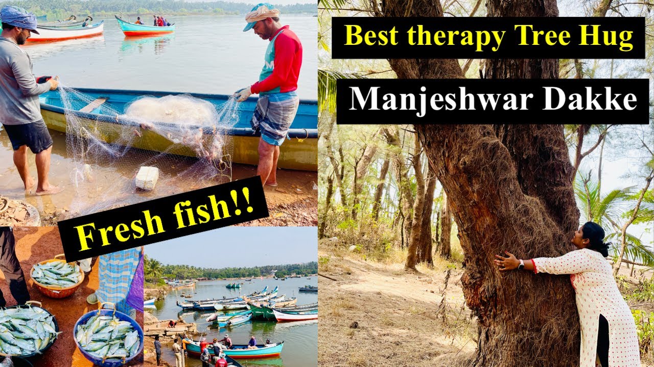 ಫ್ರೇಶ್ ಮೀನು ಮಂಜೇಶ್ವಾರ ದಕ್ಕೆಯಲ್ಲಿ ಹಾಗೇ ಬೀಚಿಗೆ ಹೋಗುವ,ಕರ್ನಾಟಕ ಕೇರಳ ಬೋರ್ಡರ್ । Fresh Fish From Boat