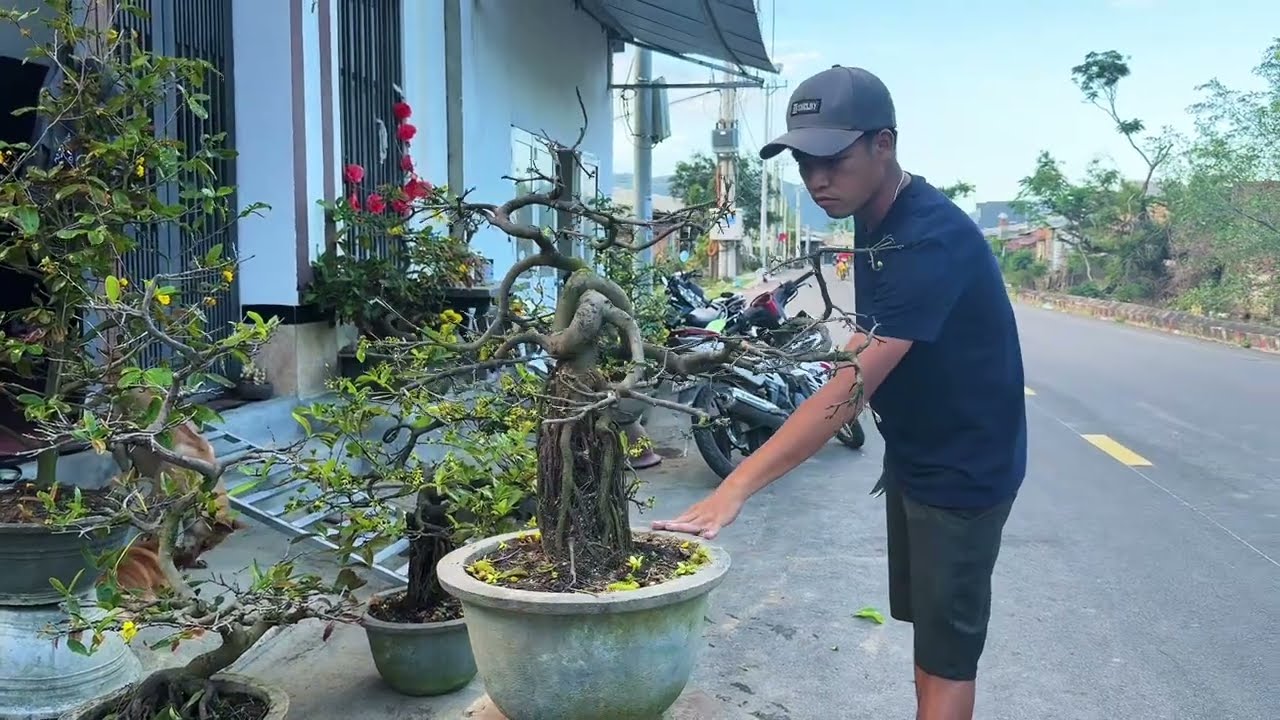 (da ban) Mai vũ nữ chân dài giá 3.8tr (0383938201)