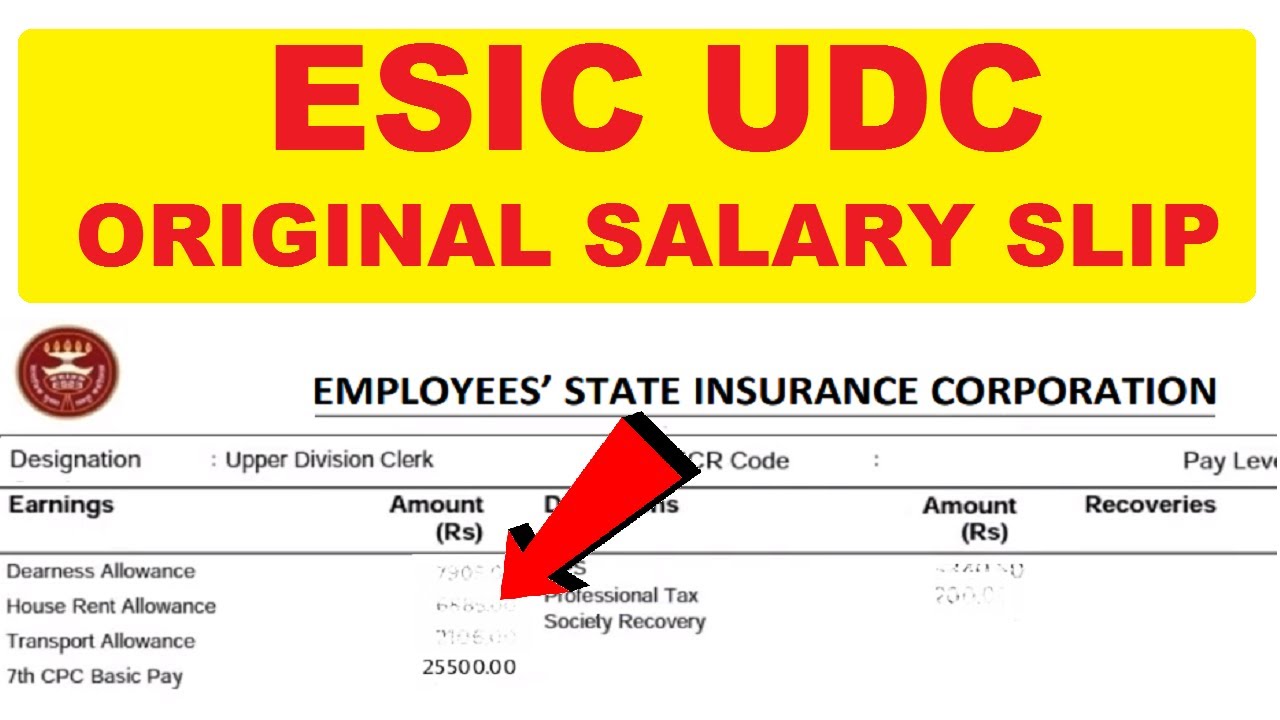 ESIC UDC Salary Slip | Subham Sen
