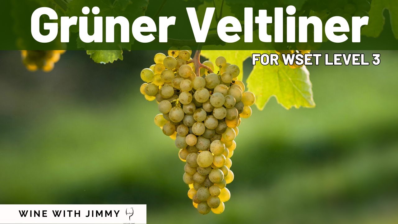 Grüner Veltliner for WSET Level 3
