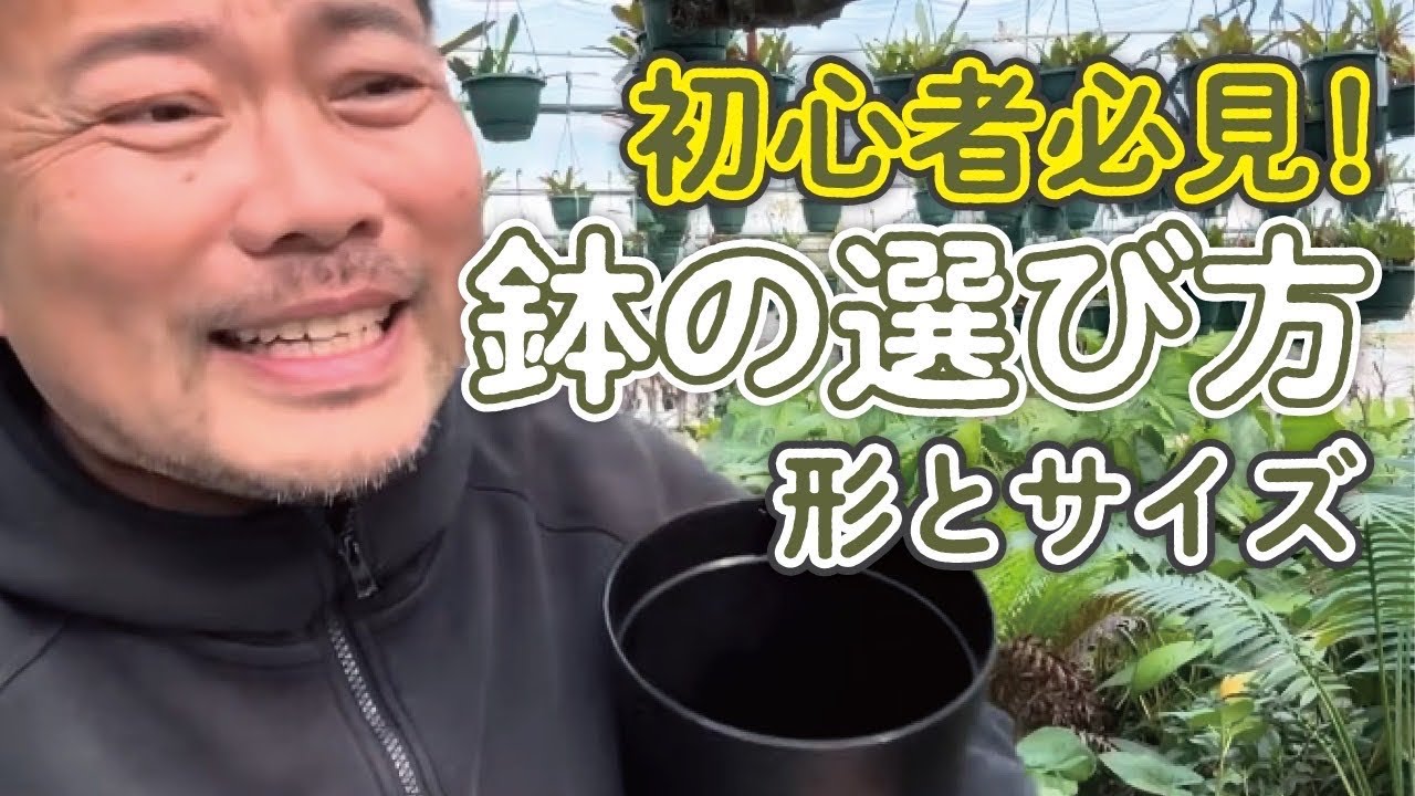 園芸ビギナー必見❗️植え替え鉢の選び方