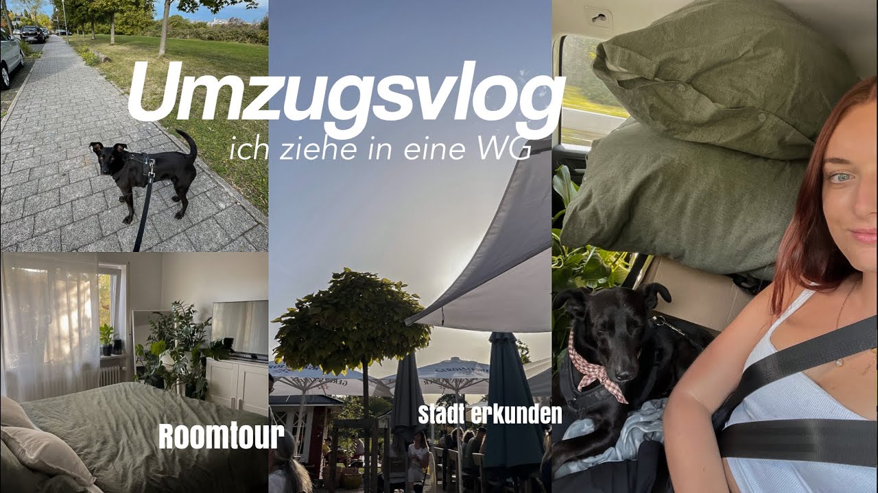 UMZUG in die WG, Leben in neuer Stadt, Roomtour & Hund eingew&ouml;hnen | VLOG