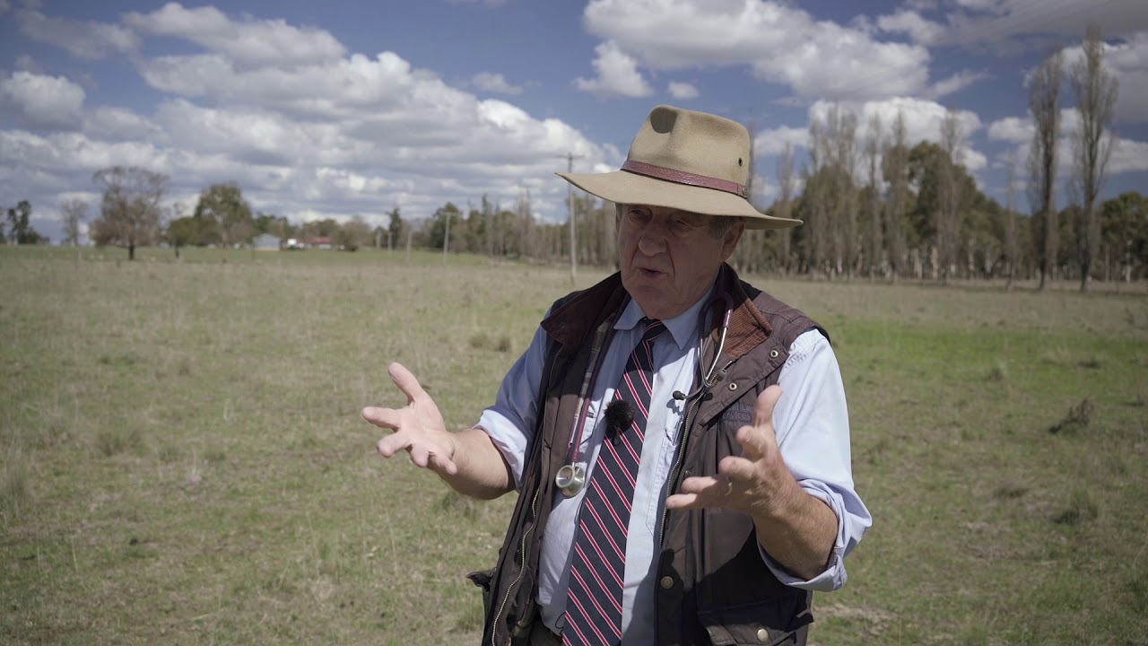 Mineral deficiency in livestock