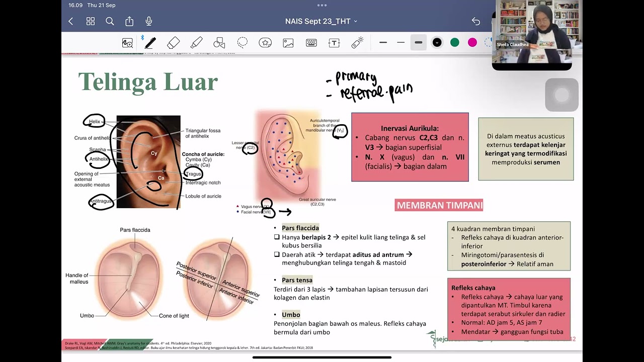 Materi Koas Stase THT Telinga Hidung Tenggorokan