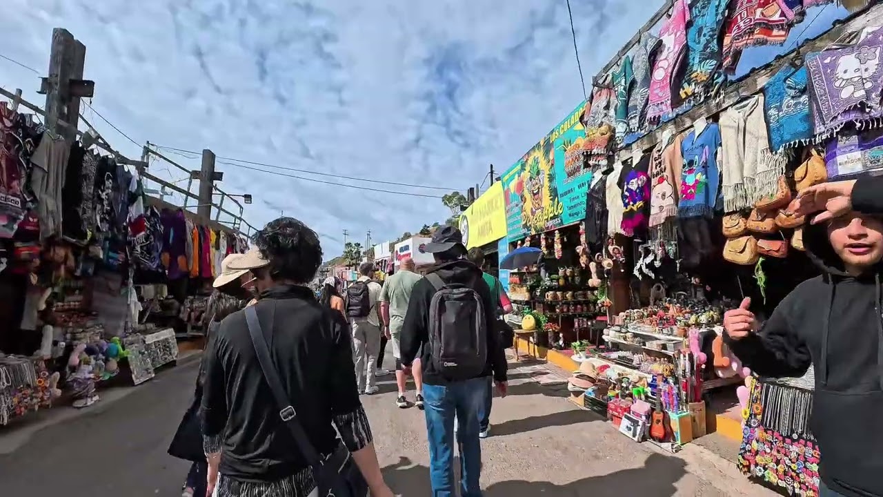 A Day in Ensenada