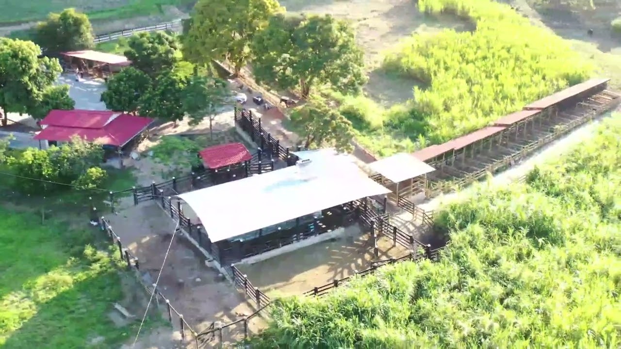 VENDE FAZENDA DE 21 ALQUEIRES - 7 KM DO CENTRO DA CIDADE - BARRA DE S&Atilde;O FRANCISCO ES