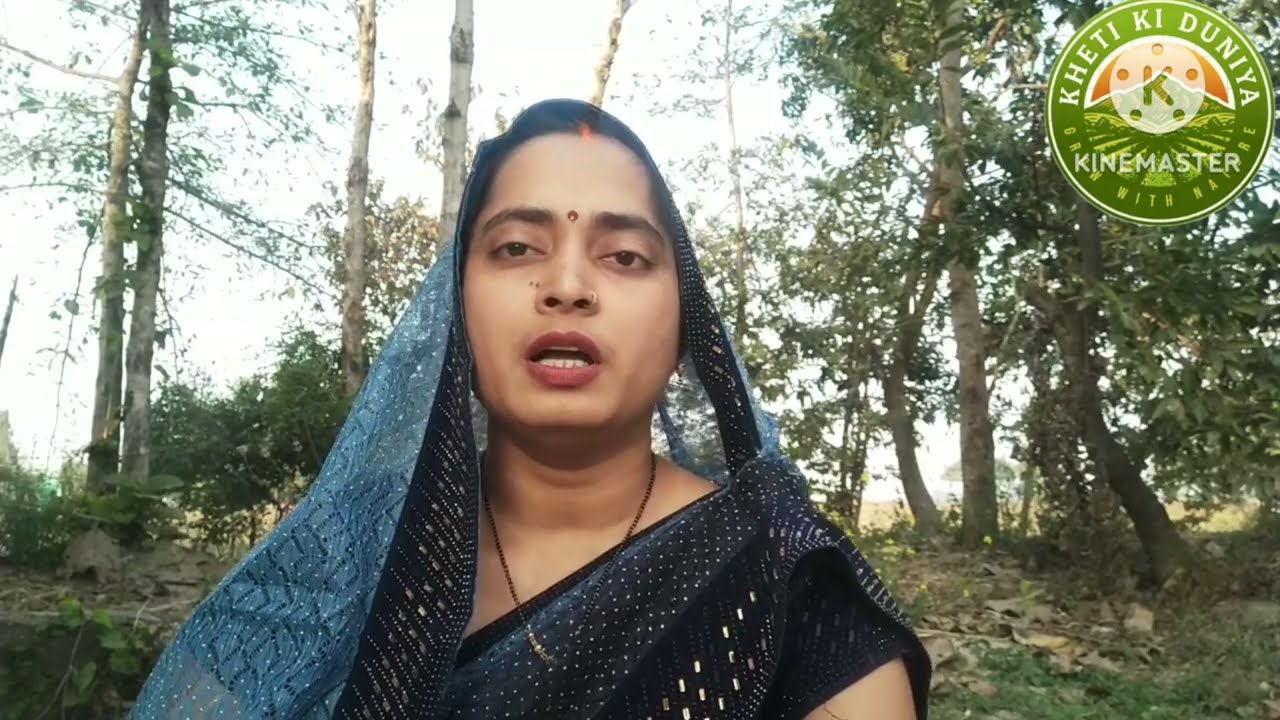 कैल्शियम का फसलों में प्रयोग / कैल्शियम का प्रयोग क्यों और कैसे करें / How to use calcium in crop