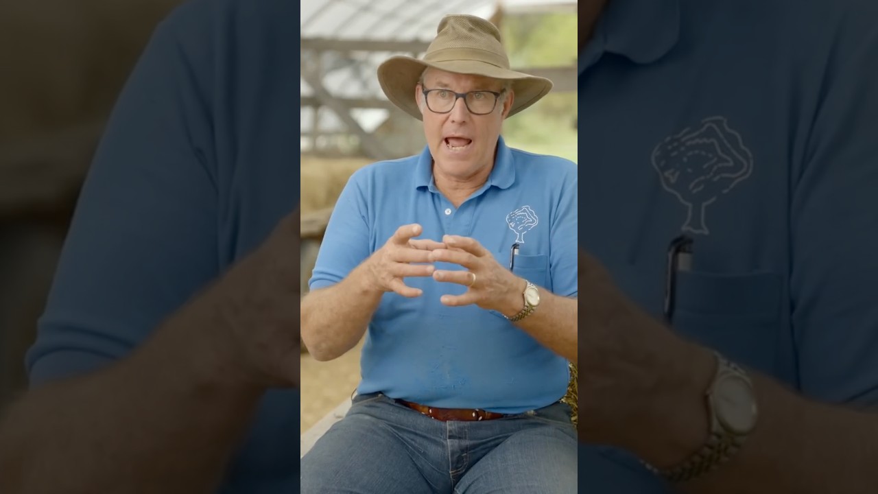 Silvopasture pruning techniques from Joel Salatin #forestry #regenerativeagriculture