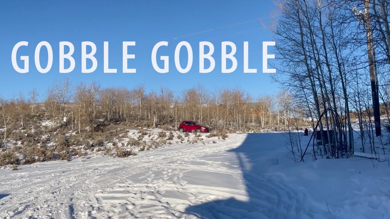 Gobble Gobble