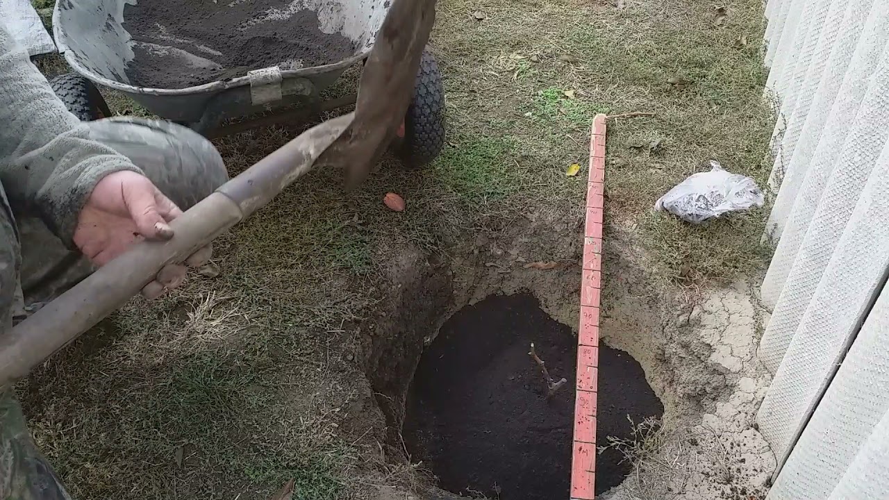 Посадка винограда. Просто, доступно, проверено:)))